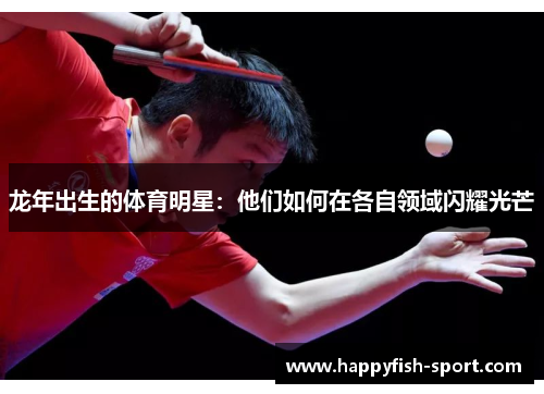 龙年出生的体育明星：他们如何在各自领域闪耀光芒